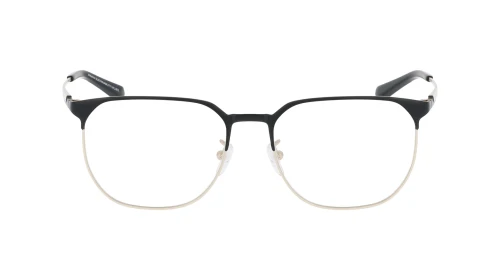 EMPORIO ARMANI EA 1158D 3002 54