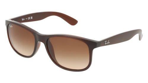 RAYBAN RB 4202 6073 13 55
