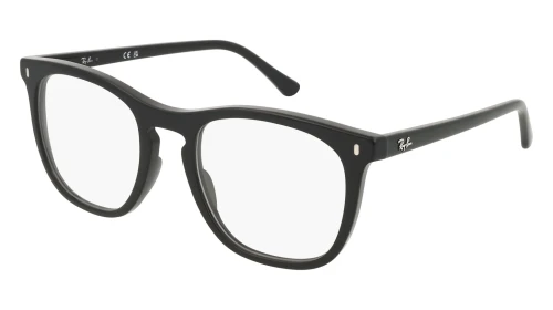 RAYBAN RX 2210V 2000 53
