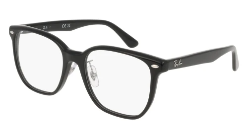 RAYBAN RX 5425D 2000 54